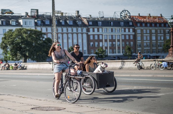 Cycling in Copenhagen
