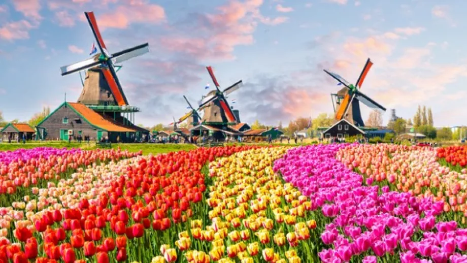 6 reasons why we decided to study our master’s in the Netherlands