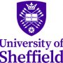 The University of Sheffield Logo