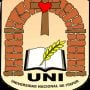 Universidad Nacional de Itapúa Logo