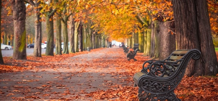 Nine Things To Do In London This Autumn Top Universities