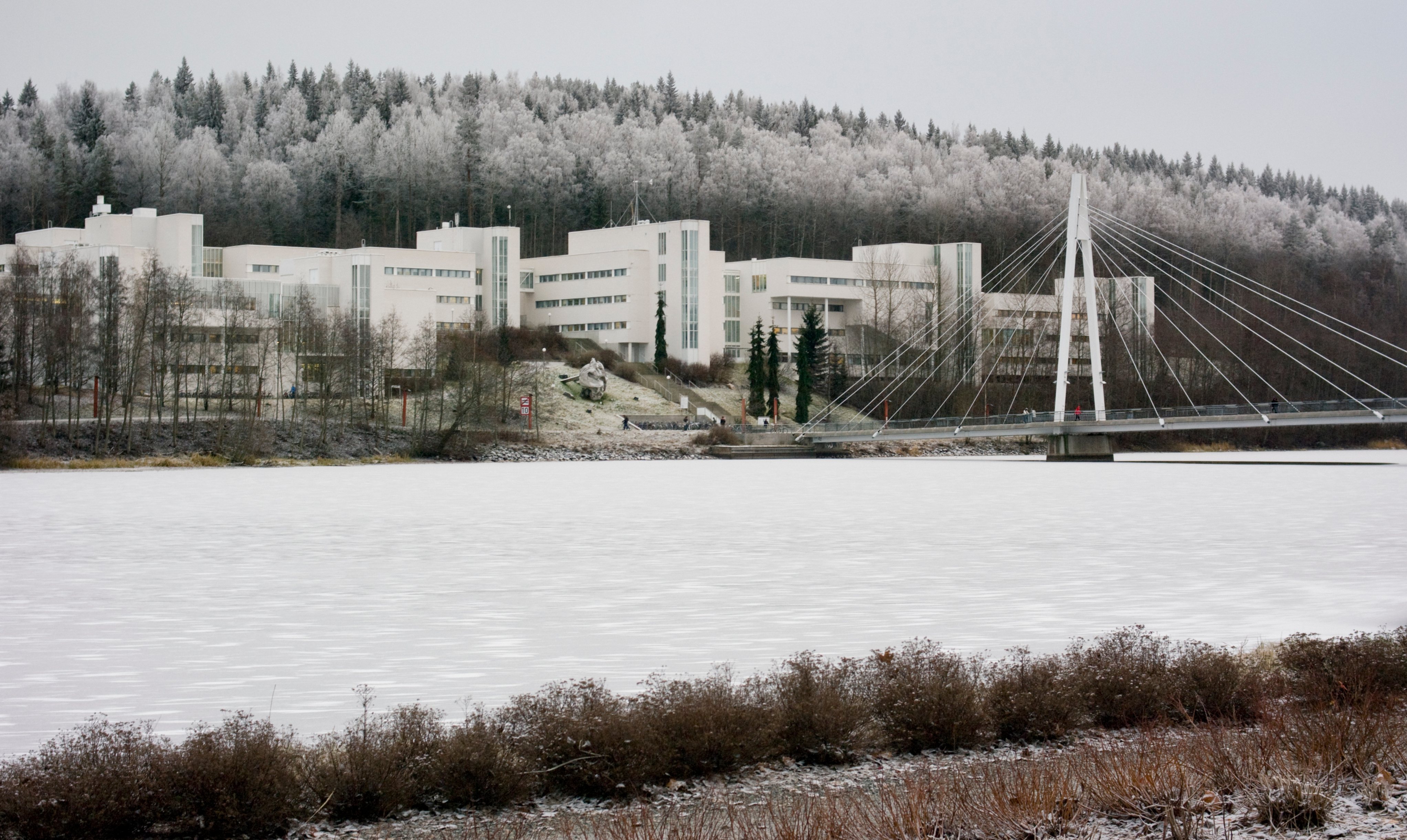 University of Jyväskylä