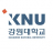 Kangwon National University Logo