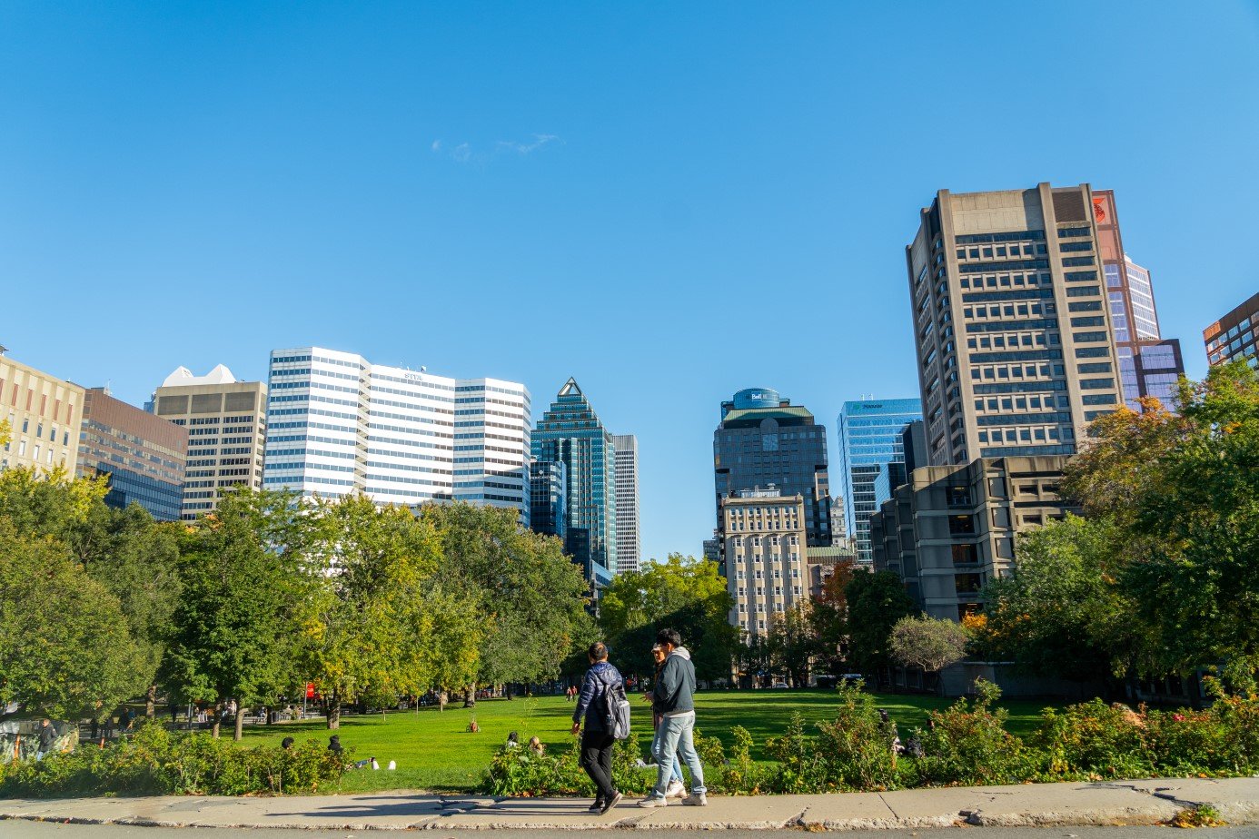 Downtown view from Lower Field