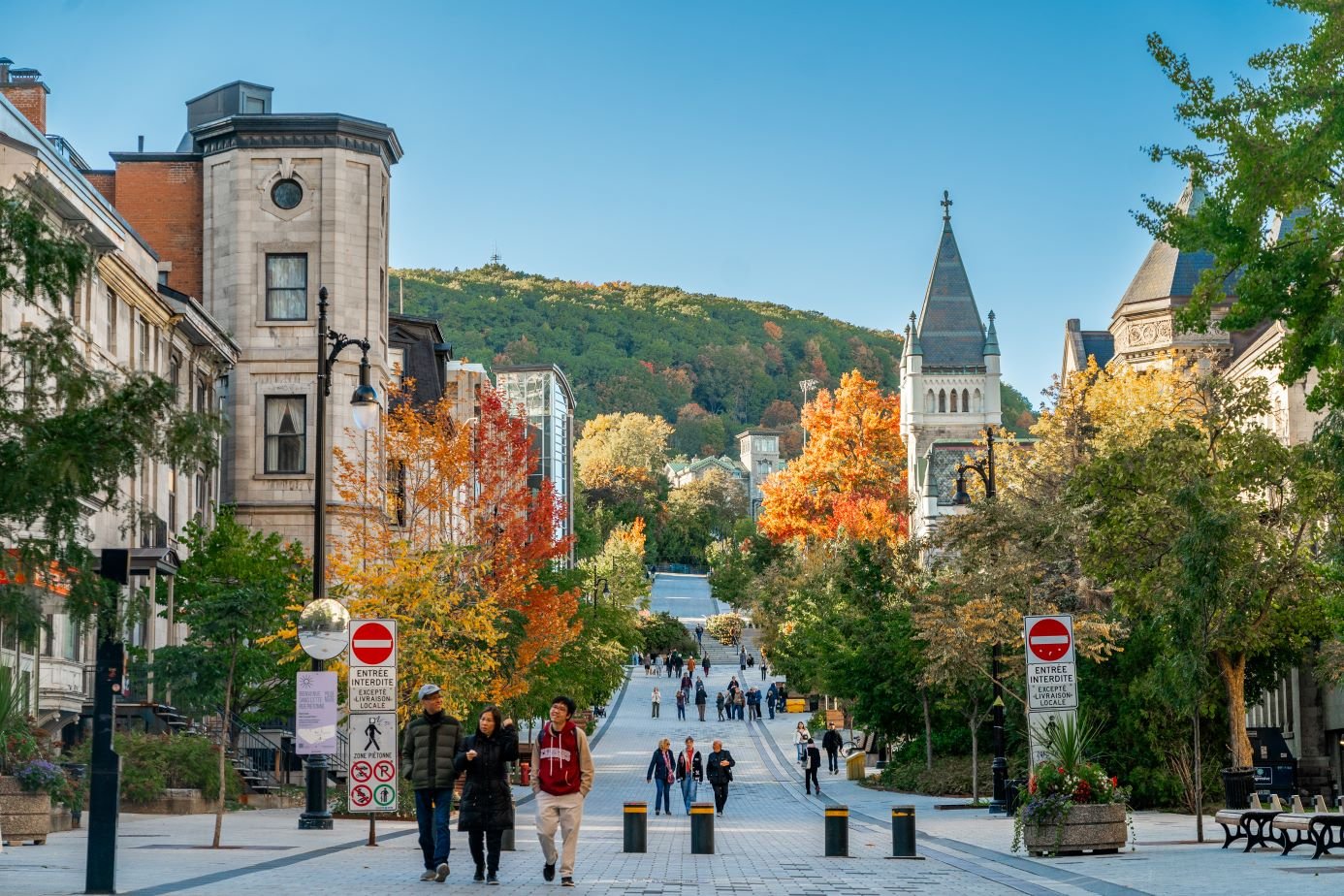 McTavish Street in the fall