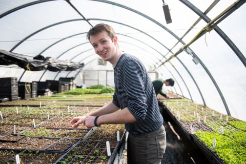 Students work in one of the Mac greenhouses