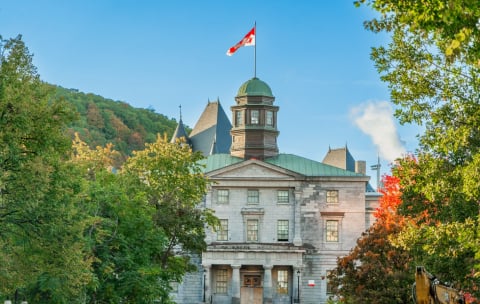 McGill in the fall