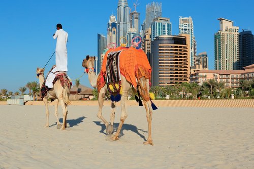 Study In The United Arab Emirates | Top Universities