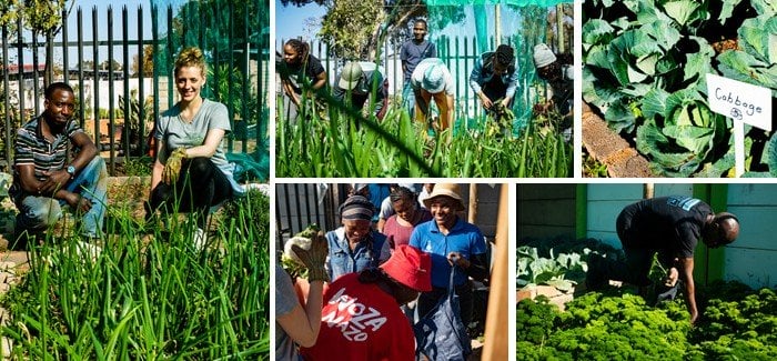 Wits University students in the food garden