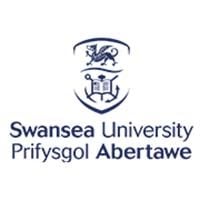 Swansea university prifsygol